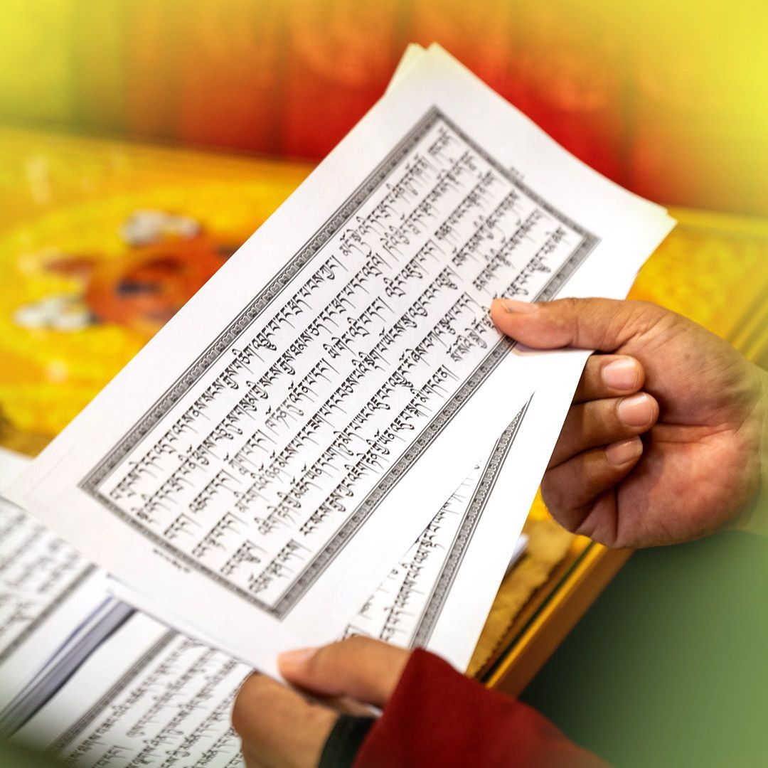 Odoo - Sample 1 for three columns