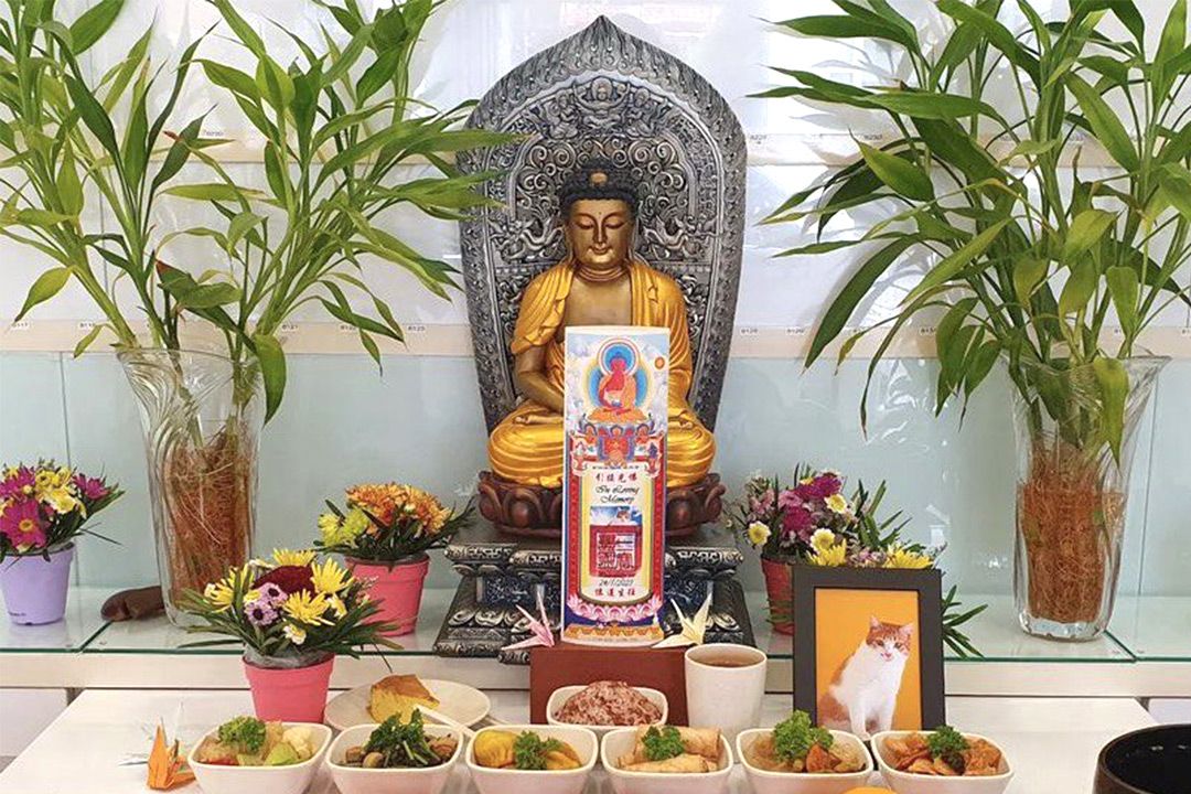 Odoo - Sample 3 for three columns