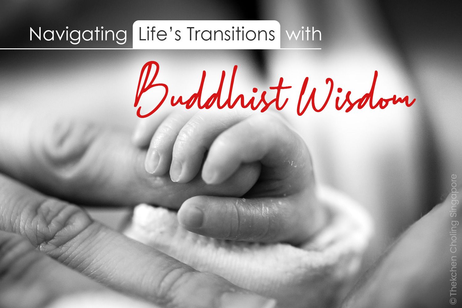 Odoo image and text block